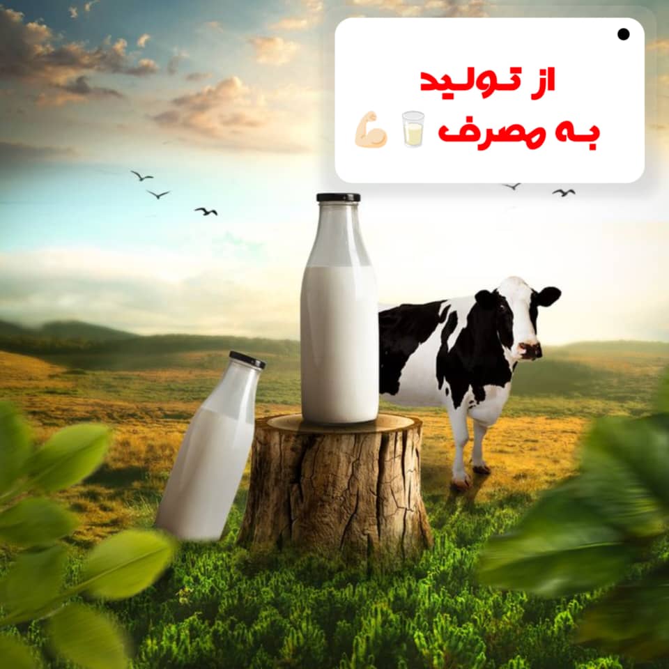 فروشگاه لبنیات محلی سنتی یاس سملقان در آشخانه